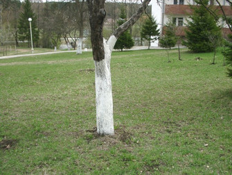 Why?