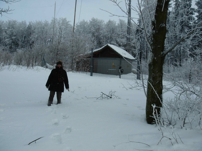Yeti-Besuch am winterlichen OV F34/AVSK-Gelände
