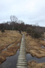 Wanderweg über Stege