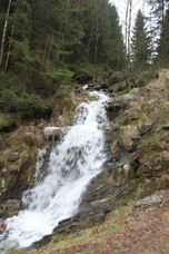 Wilde Wasser im Venn