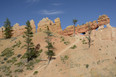 Red Canyon