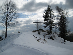 Das Gipfelkreuz am Altenschneeberg (März 2009)