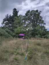 Der Aufbau aus Sicht des Speisepunkts am Mast in ca. 3m Höhe. Das Ende des Drahts hing in der Eiche in ca. 8m Höhe.