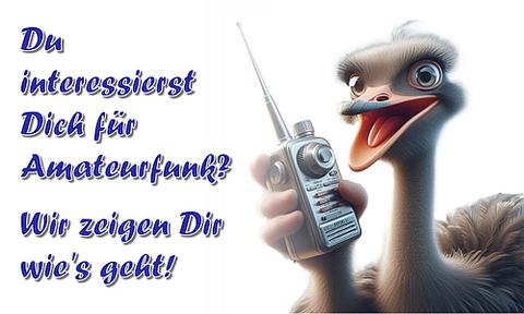 Logo Strauß Amateurfunk