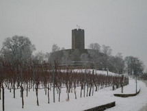 Burg Steinsberg im Winter