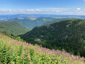 Blick vom Feldberg über das Zastler Loch