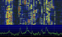 FT8