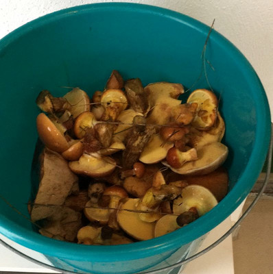 Beim nächsten Mal muss ein richtiges Körbchen her....